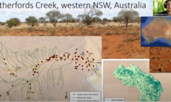 ALA GIS Team at CAA Australasia Online Conference 2020